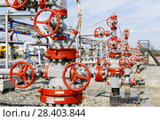 Россия, Тюменская область, Уватский район; Усть-Тегусское нефтяное месторождение; Кустовая площадка №1. глубинные насосы, задвижки. Стоковое фото, фотограф Александр Циликин / Фотобанк Лори