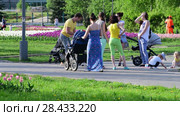 Moscow, Russia - May 15. 2018. mothers with strollers walk along boulevard in Zelenograd. Редакционное видео, видеограф Володина Ольга / Фотобанк Лори