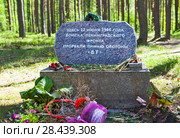 Памятный знак, посвященный прорыву линии VT (финской оборонительной линии ВТ). Парк «Марьина гора». Поселок Молодёжное. Санкт-Петербург (2018 год). Редакционное фото, фотограф Сергей Афанасьев / Фотобанк Лори