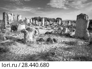 Standing Stones or Pobiti kamani natural park in Bulgaria. Monochrome image. Стоковое фото, фотограф Сергей Цепек / Фотобанк Лори