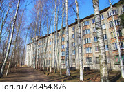 Пятиэтажный четырёхподъездный кирпичный жилой дом серии 1-528кп-3э. Построен в 1963 году. Светлановский проспект, 5. Выборгский район. С.-Петербург (2018 год). Стоковое фото, фотограф Oles Kolodyazhnyy / Фотобанк Лори