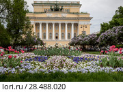 Клумба на площади Островского и фасад здания Александринского театра в центре города Санкт-Петербурга, Россия (2018 год). Редакционное фото, фотограф Николай Винокуров / Фотобанк Лори