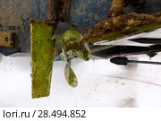 Boat stern hull and propeller pressure water cleaning on beached ship. Стоковое фото, фотограф Tono Balaguer / Ingram Publishing / Фотобанк Лори