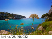 Cala Macarella Ciudadela Menorca turquoise Mediterranean sea in Balearic islands. Стоковое фото, фотограф Tono Balaguer / Ingram Publishing / Фотобанк Лори
