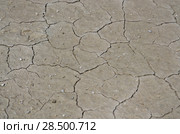 Dry soil background. Environment conservation concept. Стоковое фото, фотограф Olena Mykhaylova / Ingram Publishing / Фотобанк Лори