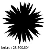 Top view silhouette of mountain cabbage palm tree isolated on white background. Стоковое фото, агентство Ingram Publishing / Фотобанк Лори