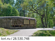 ДОТ в парке "Дубки". Сестрорецк (2018 год). Стоковое фото, фотограф Александр Щепин / Фотобанк Лори