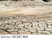 Background - dried cracked saline soil, dry clay sprinkled with sand. Стоковое фото, фотограф Евгений Харитонов / Фотобанк Лори