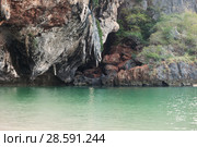 Picturesque cliffs hang over sea. Thailand. Стоковое фото, фотограф Александр Романов / Фотобанк Лори