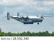 Ан-22 "Антей" (бортовой RF-09309) на посадке, аэродром Мигалово, Тверь (2018 год). Редакционное фото, фотограф Alexei Tavix / Фотобанк Лори
