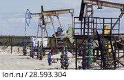 Добыча нефти. Насосная установка. Pumpjack. Стоковое видео, видеограф Евгений Романов / Фотобанк Лори