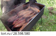 Речная рыба в коптильне. Fish in the smokehouse. Стоковое видео, видеограф Евгений Романов / Фотобанк Лори