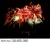 Celebratory firework in a night sky. Стоковое фото, фотограф ElenArt / Фотобанк Лори