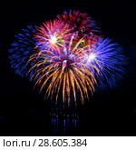 Celebratory firework in a night sky. Стоковое фото, фотограф ElenArt / Фотобанк Лори