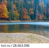 Lake Synevyr autumn view. Стоковое фото, фотограф Юрий Брыкайло / Фотобанк Лори