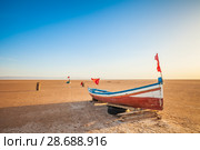 A wooden boat at the large salt lake Chott El Jerid, Tunisia. Стоковое фото, фотограф Сергей Цепек / Фотобанк Лори