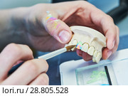 dental technician work. prosthesis production. teeth prototype construction. Стоковое фото, фотограф Дмитрий Калиновский / Фотобанк Лори