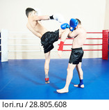 Thai boxer fighting at training ring. Стоковое фото, фотограф Дмитрий Калиновский / Фотобанк Лори