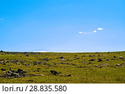 Summer arctic landscape - grassy rocky tundra under a blue sky. Стоковое фото, фотограф Евгений Харитонов / Фотобанк Лори