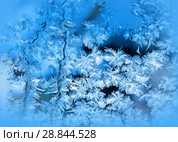Frosty pattern on winter window. Стоковое фото, фотограф ElenArt / Фотобанк Лори