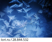 Frosty pattern on winter window. Стоковое фото, фотограф ElenArt / Фотобанк Лори
