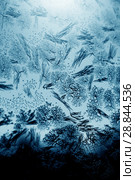 Frosty pattern on winter window. Стоковое фото, фотограф ElenArt / Фотобанк Лори