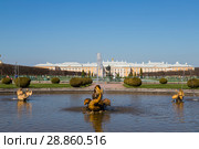 Россия. Петергоф. Верхний сад. Фонтан "Межеумный" (2018 год). Редакционное фото, фотограф Литвяк Игорь / Фотобанк Лори