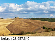 Italy. The Val d'Orcia Park. Typical landscape of rural Tuscany in autumn. Harvested and plowed fields in the hills on sunny afternoon (2013 год). Стоковое фото, фотограф Виктория Катьянова / Фотобанк Лори