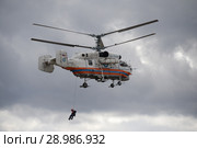 Спасатель десантируется с пожарно-спасательного вертолета Ка-32А МЧС России на аэродроме Мячково (2018 год). Редакционное фото, фотограф Free Wind / Фотобанк Лори