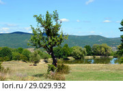 Lake in Sokolinoe. Стоковое фото, фотограф Staryh Luiba / Фотобанк Лори