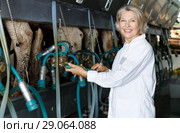 Farm milkmaid in bathrobe in barn with automatical cow milking machines. Стоковое фото, фотограф Яков Филимонов / Фотобанк Лори