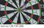 Game of darts on classic dartboard, two darts hit the bullseye and one misses. Стоковое видео, видеограф Uladzimir Sitkouski / Фотобанк Лори