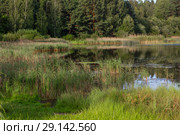 Закат над Бугровским водохранилищем. Пушкинские горы (2018 год). Редакционное фото, фотограф Марина Володько / Фотобанк Лори
