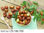 Плоды унаби (зизифус настоящий, китайский финик, чапыжник, жужуба, лат. Ziziphus jujuba) в плетеной корзинке на салфетке. Стоковое фото, фотограф Наталья Гармашева / Фотобанк Лори