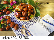 Плоды унаби (зизифус настоящий, китайский финик, чапыжник, жужуба, лат. Ziziphus jujuba) и блокнот для записей на столе в лучах осеннего солнца. Стоковое фото, фотограф Наталья Гармашева / Фотобанк Лори