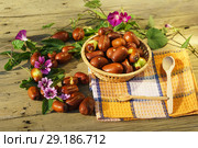 Спелые плоды унаби (зизифус настоящий, китайский финик, чапыжник, жужуба, лат. Ziziphus jujuba) на деревянном столе в лучах осеннего солнца. Стоковое фото, фотограф Наталья Гармашева / Фотобанк Лори