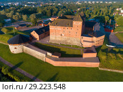 Крепость Хамеенлинна крупным планом июльским утром (съемка с квадрокоптера). Финляндия (2018 год). Стоковое фото, фотограф Виктор Карасев / Фотобанк Лори