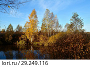 Две подруги. Стоковое фото, фотограф Игорь Камаев / Фотобанк Лори