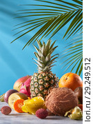 Exotic mix from ripe fresh fruits - pineaple, dragon fruit, mango, coconut, kiwi, carambola, litchi on a gray stone table on a blue. Стоковое фото, фотограф Ярослав Данильченко / Фотобанк Лори