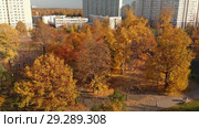 Moscow, Russia - October 17. 2018 Golden autumn in Zelenograd administrative district. Редакционное видео, видеограф Володина Ольга / Фотобанк Лори