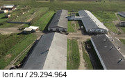 Свинокомплекс. Вид сверху. Pig complex. Aerial view. Стоковое видео, видеограф Евгений Романов / Фотобанк Лори