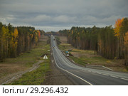 Асфальтовая дорога с белой разметкой через осенний лес. Осеннее путешествие на автомобиле. Стоковое фото, фотограф Яковлев Сергей / Фотобанк Лори