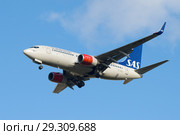 Cамолет Boeing 737-700  (SE-REZ) авиакомпании SAS Scandinavian Airlines перед посадкой в аэропорту Пулково (2018 год). Редакционное фото, фотограф Виктор Карасев / Фотобанк Лори