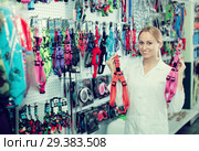 Cheerful girl assistant advising on leashes for pets. Стоковое фото, фотограф Яков Филимонов / Фотобанк Лори