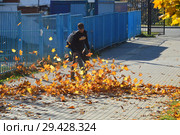 Рабочий убирает листву с помощью воздуходувки. Дюссельдорфский парк. Район Марьино. Город Москва. Россия (2018 год). Редакционное фото, фотограф lana1501 / Фотобанк Лори