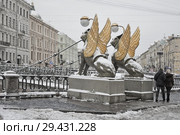 Санкт-Петербург. Грифоны Банковского моста (2015 год). Редакционное фото, фотограф Александр Алексеев / Фотобанк Лори