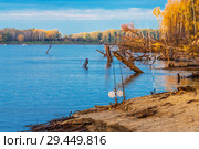 Осенняя рыбалка на карася донными снастями. Река Обь, Верх-Сузун, Сузунский район, Новосибирская область, Западная Сибирь, Россия. Стоковое фото, фотограф Евгений Мухортов / Фотобанк Лори