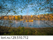 Река Шуя в Карелии. Осенний солнечный день. Стоковое фото, фотограф Сергей Цепек / Фотобанк Лори