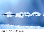 Снежинки на колючей проволоке на синем фоне. Стоковое фото, фотограф Кекяляйнен Андрей / Фотобанк Лори
