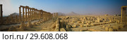 Panorama of Palmyra columns and ancient city, destroyed now, Syria (2011 год). Стоковое фото, фотограф Сергей Майоров / Фотобанк Лори